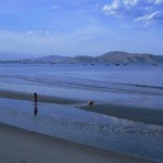 06-p-IMG_2288